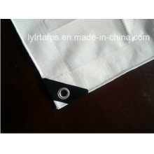 White Clear Tarpaulin with Eyelets&Black Corners, HDPE Coated PE Tarp, Poly Tarp Cover